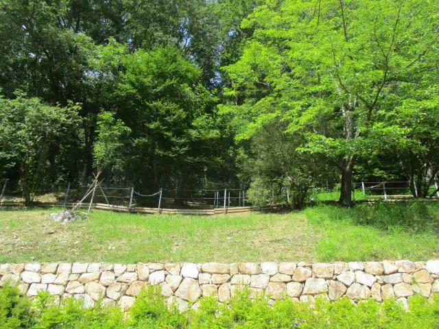 キツネノカミソリ」｜大阪北摂霊園 公益財団法人大阪府都市整備推進