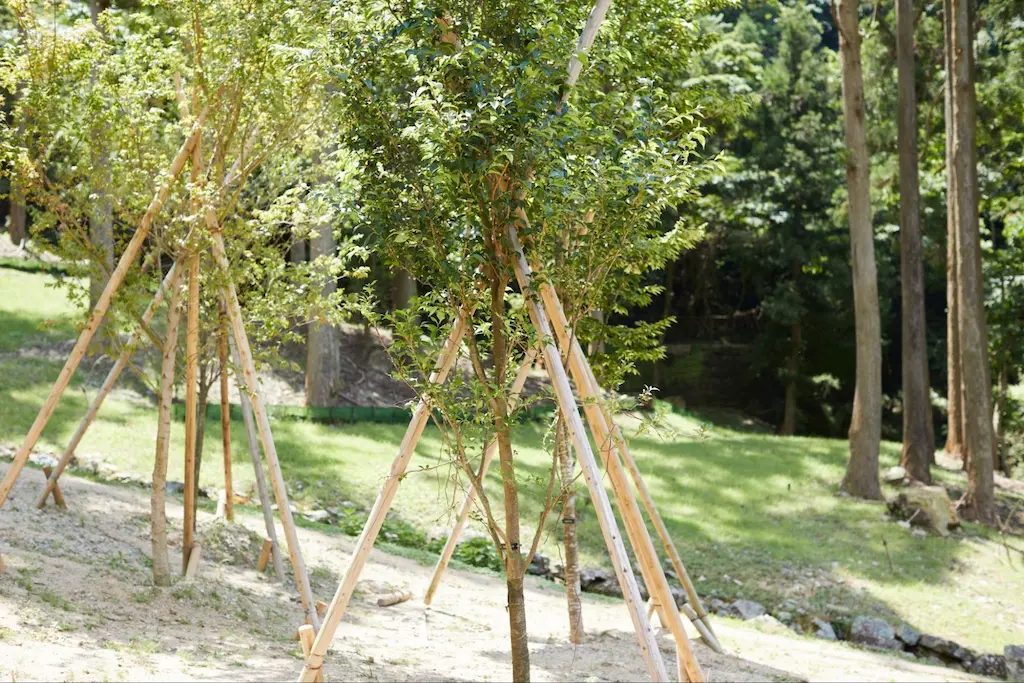 ペットと一緒に入れるお墓の種類