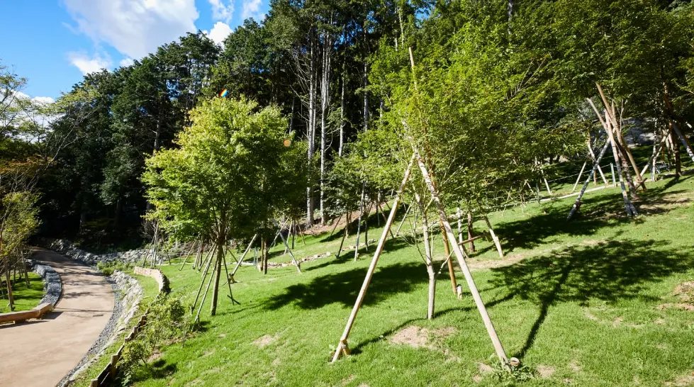 樹木葬との違い