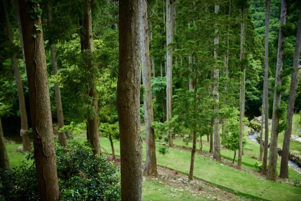 公営霊園の樹木葬とは